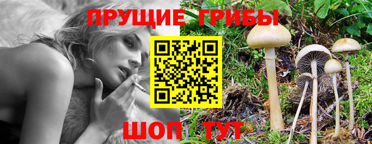 Псилоцибиновые грибы прущие грибы Мыски