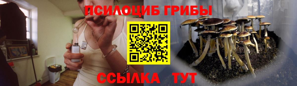 где купить   Псилоцибиновые грибы Magic Shrooms  Галлюциногенные грибы ЛСД  Вход с VPN  Мыски 